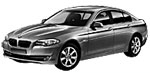 BMW F10 P1251 Fault Code