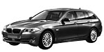 BMW F11 P1251 Fault Code